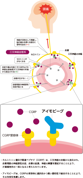 mechanism-image